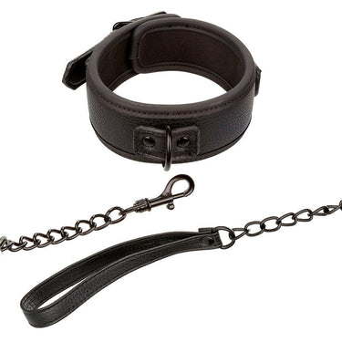 Set Collare e Guinzaglio in Metallo Nocturnal: Eleganza e Controllo